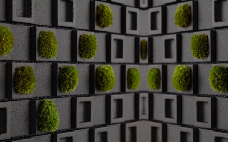 THIẾT KẾ NỘI THẤT XANH – LẤY CẢM HỨNG TỪ CỐC ĐONG GẠO GỖ THÔNG